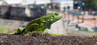 - © 2025 Ron Hart, Hart Creative Inc. All rights reserved